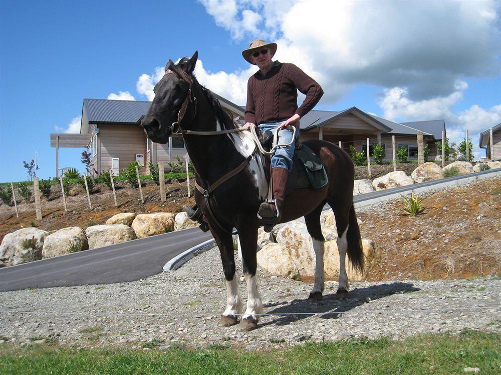 Kaimai Country Lodge Katikati Dış mekan fotoğraf