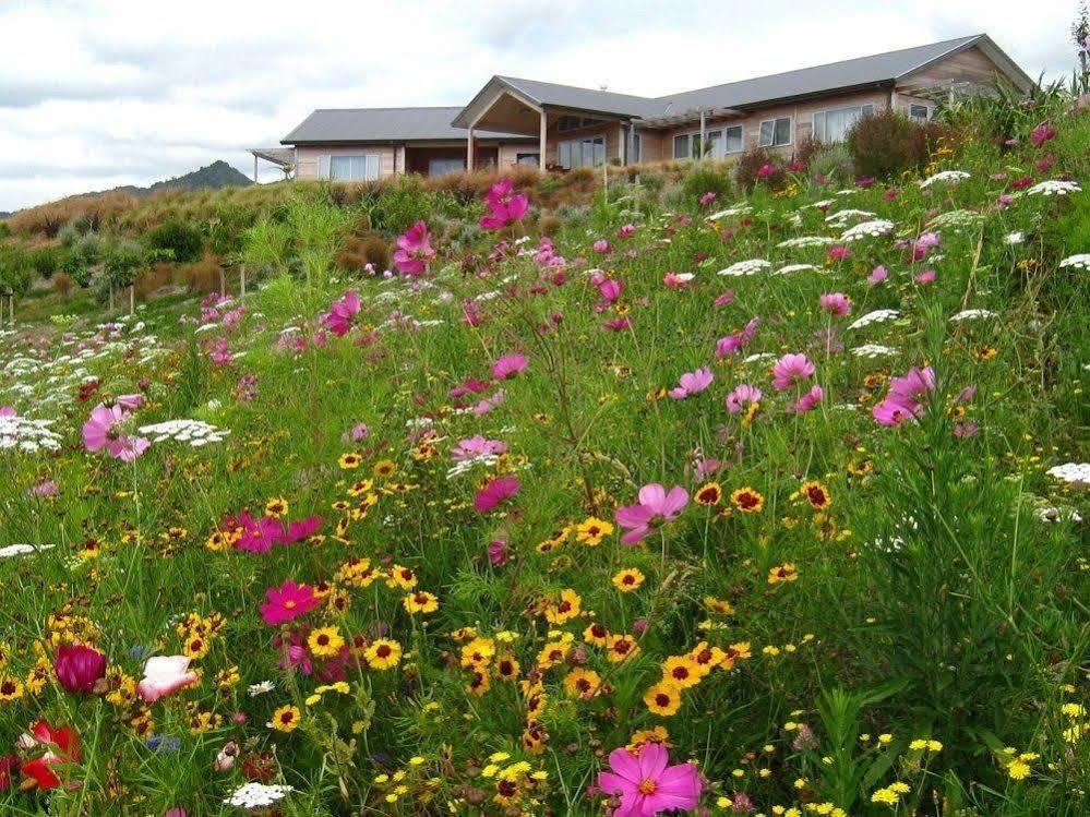 Kaimai Country Lodge Katikati Dış mekan fotoğraf